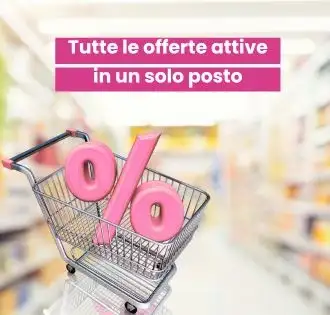 Pagamenti online rapidi e sicuri