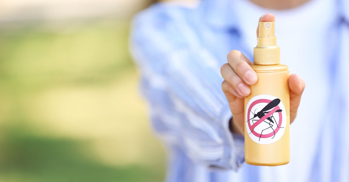 Come eliminare gli insetti in casa: i migliori prodotti contro formiche, zanzare, scarafaggi, vespe e altro