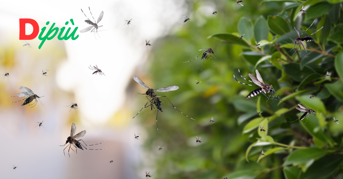 Come eliminare zanzare dal giardino? 5 metodi infallibili