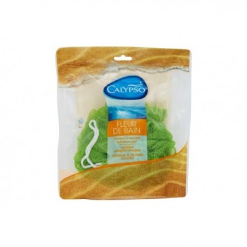 CALYPSO SPUGNA RETE PASSION