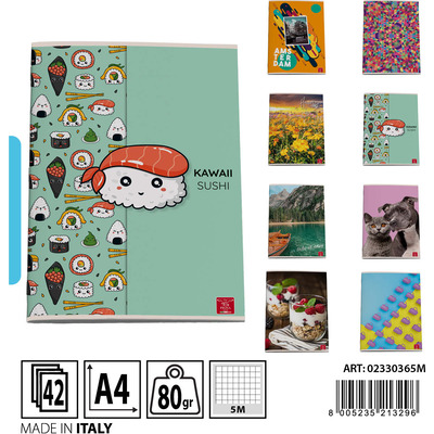 PIGNA QUADERNO MAXI A4 5M 212459 PIGNA QUADERNO MAXI A4 5M 212459