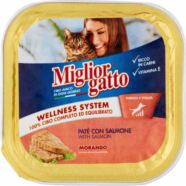 MIGLIOR GATTO PATE` SALMONE GR.100